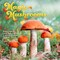 Magic Mushrooms | 2026 12 x 24 Inch (Hanging) Monthly Square Wall Calendar | Plastic-Free